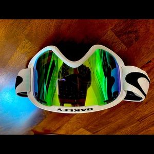 Oakley Snowboard Goggles, Worn on one trip